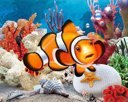 Aquarium live wallpaper by kittehface software lets you have a beautiful tropical fish tank as you can download aquarium live wallpaper by kitteface software from the google play store for free. 3d Aquarium Live Wallpaper Apk Free Download App For Android