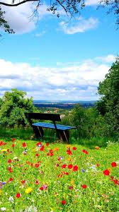 Looking For Some Beautiful Spring Nature Wallpaper Phone Backgrounds For Free On Your Android Mobile Devices In 2020 Nature Wallpaper Spring Nature Lock Screen Images