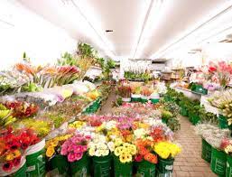 The law protects your rights! The Florists Of Avenue And Davenport