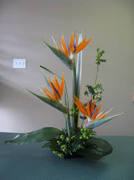 Bird Of Paradise Arrangement Birds Of Paradise Arrangement In A Low Container Modern Contemporary Arran Tropical Flower Arrangements Fresh Flowers Arrangements Modern Flower Arrangements
