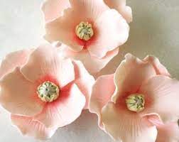 12 Camellia Wedding Fondant Flowers Fondant Camellia Edible Etsy Gum Paste Poppy Flower Fondant Flowers