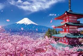 Awesome cherry blossoms cherry blossoms float, hirosaki castle, aomori, japan cherry blossoms, meguro river, tokyo, japan. Aesthetic Cherry Blossom Japanese Art Wallpaper Allwallpaper