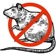 We typically recommend pest control chemicals that get the job done using the least amount of product. Choice Pest Control Oakland Park City Pest Control Pros