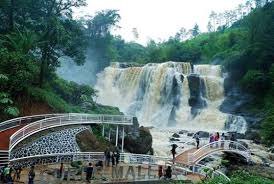 We did not find results for: 9 Harga Tiket Masuk Kawah Putih Ciwidey Bandung 2020