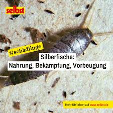 Silberfische Selbst De In 2020 Silberfische Fische Insekten