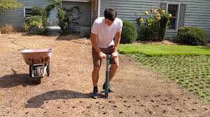 For the first nine days (including the day of installation), you should water your lawn twice a day—once in the early morning and then again in the evenings. How To Plant Centipede Grass Plugs Proplugger