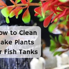 Use a damp microfiber cloth to wipe down your plant, leaf by leaf. How To Wash Plastic Fish Tank Plants Cleaning Aquarium Decorations Pethelpful