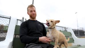 A safe and loving home for every animal. Dogs Adopted During Pandemic Are Used To People Being Around 24 7