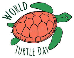 Buy sea turtle world from sunsout, 1000 pieces, free shipping available | puzzle warehouse. Save Turtles Stock Illustrations 80 Save Turtles Stock Illustrations Vectors Clipart Dreamstime