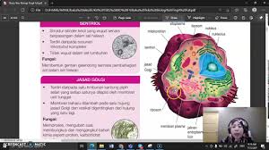 We did not find results for: Biologi F4 2 1 Struktur Dan Fungsi Sel Youtube