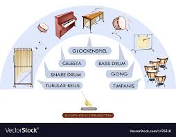 Seating Chart Percussion Instrument