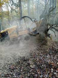 Maybe you would like to learn more about one of these? Graham S Tree Service