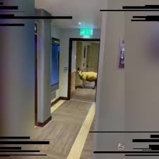 Escaped sheep wanders into hotel, waits for elevator watch online