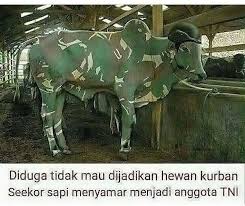 Maybe you would like to learn more about one of these? 13 Meme Hewan Qurban Yang Siap Menghiburmu Menyambut Idul Adha