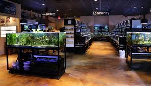 Maybe you would like to learn more about one of these? Freshwater Fish Department Saltwater Aquarium Setup Aquarium Store Fishing Room