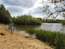 Der hummelsee im norden hamburgs.zu hummelsbüttel gehörend. Hummelsee Hamburg Deutschland Wandertipps Fotos Komoot