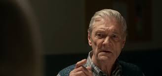 Welcome to Sweden (2014)