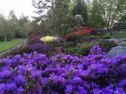 Sage und schreibe 16.000 pflanzen kann man hier in den verschiedensten gewächshäusern und im freien bewundern. Eghn Botanischer Garten Goteborg