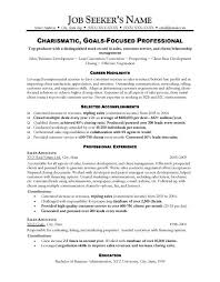 sample sales resume, free
