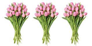 Whole Foods Is Having A Sale On Tulips Roses And More Flowers For Mother S Day