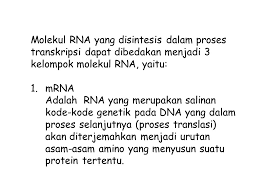 We did not find results for: Unit Transkripsi Dna Yang Mencetak Mrna Adalah Cara Golden