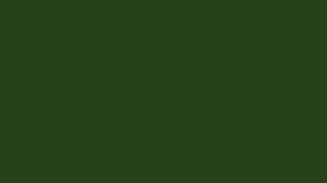 Image result for Dark Forest Green 1992 Fleet