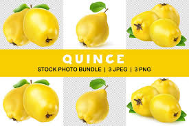 Quince Fruits Quince Fruit Fruit Quince
