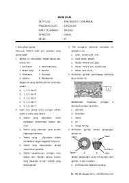 We did not find results for: Kisi Kisi Soal Biologi Kelas Xi Bab Sel Jawabanku Id