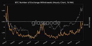 Bitcoin prices corrected in the last few days. Why These Metrics Will Be Key To Bitcoin S Near Term Performance Bibi News