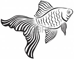 Goldfish Stock Illustrations Cliparts And Royalty Free Goldfish Line Art Images Fish Drawings Goldfish