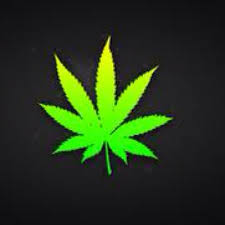 If your here for your wake & bake we got you covered. Stoner Quotes Stoner Sayings Twitter