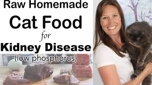 With our food browser, you can sort thousands of different foods and recipes by phosphorus, or by dozens of other nutrients. Raw Homemade Kidney Care Diet For Cats Health Home Happiness