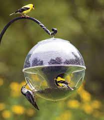Duncraft Com Duncraft Super Cling A Wing Bird Feeder Bird Feeders Birdhouses Bird Feeders Black Oil Sunflower Seeds
