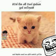 We did not find results for: à·ƒ à¶¯ à¶¸à·„à¶­ à¶­à¶º Sudu Mahaththaya Fotos Facebook