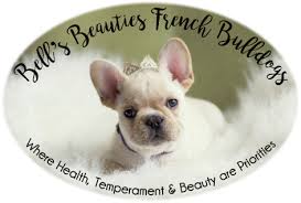 Breed of quality english and french bulldogs. Bell S Beauties French Bulldogs Where Health Temperament Beauty Are Priorities
