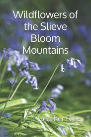 I want flowers in spanish. Wildflowers Of The Slieve Bloom Mountains Rice Heather 9798553259174 Amazon Com Books