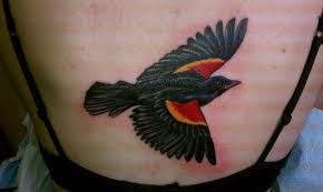 Black Bird With Red Under Wing Pin By Lindsay Eryn On Ink Black Bird Black Bird Tattoo Animal Tattoos