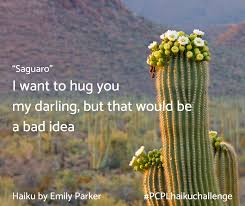 Check spelling or type a new query. Pcpl Haiku Challenge Your Poems About Springtime Pima County Public Library