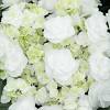 Earlier to bloom than other hydrangeas and reblooms until frost. 1