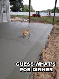 Joke4Fun Memes: Chicken