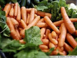 Recolter Et Conserver Ses Carottes