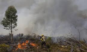 After battling raging fires in jonkershoek valley, stellenbosch since monday afternoon, firefighters tonight thought they had managed to douse most of the flames and successfully contain the fire…but latest reports reveal that the fire is spreading. Fire Hits Maties Students