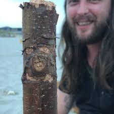 Stream Johnny Galaxy music