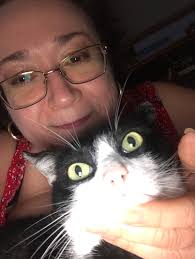 Heb grocery store recommendations for simple meals