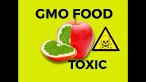 Genetic modification of crops can produce varieties that are more resistant to pests and diseases, reducing losses and lessening the dependence on pesticides. 6 Major Disadvantages Of Genetically Modified Foods Biology Explorer