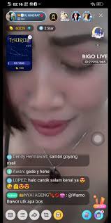 Buik on X: Masuk dan nonton LIVE 💝🅰YU NINGRAT💋 di BIGOLIVE:  t.coxjgdjEwd5b t.coVnVb7dABkK  X