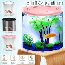 Kami menjual aquarium air laut mini, sebuah aquarium yang sangat menarik dengan harga yang terjangkau. 5l Usb Led Fisch Tank Halbmond Mini Aquarium Acryl Kapazitat 180 Offene Reichweite 20x14x21cm Gunstig Kaufen Preis Kostenloser Versand Echte Bewertungen Mit Fotos Joom