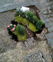Guerrilla gardening involves people beautifying public space, with or without permission. 14 Guerilla Gardening Ideas Guerrilla Gardening Guerrilla Urban Garden