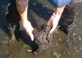 After draining these ponds, refill them with water as soon as possible to reduce the rate of decomposition 2. Natural Pond Muck Removal Lake Muck Removal Solution By Clean Flo