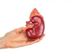 Uremia Treatment Symptoms And Causes